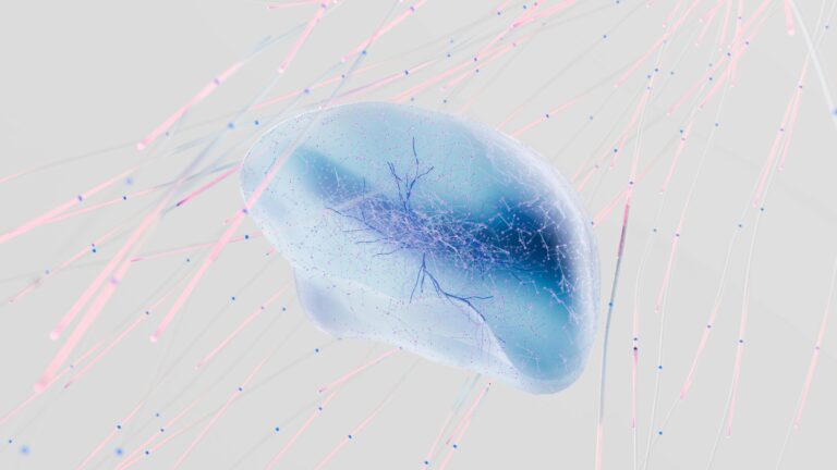 How Dopamine Fasting Can Reset Your Brain’s Reward System